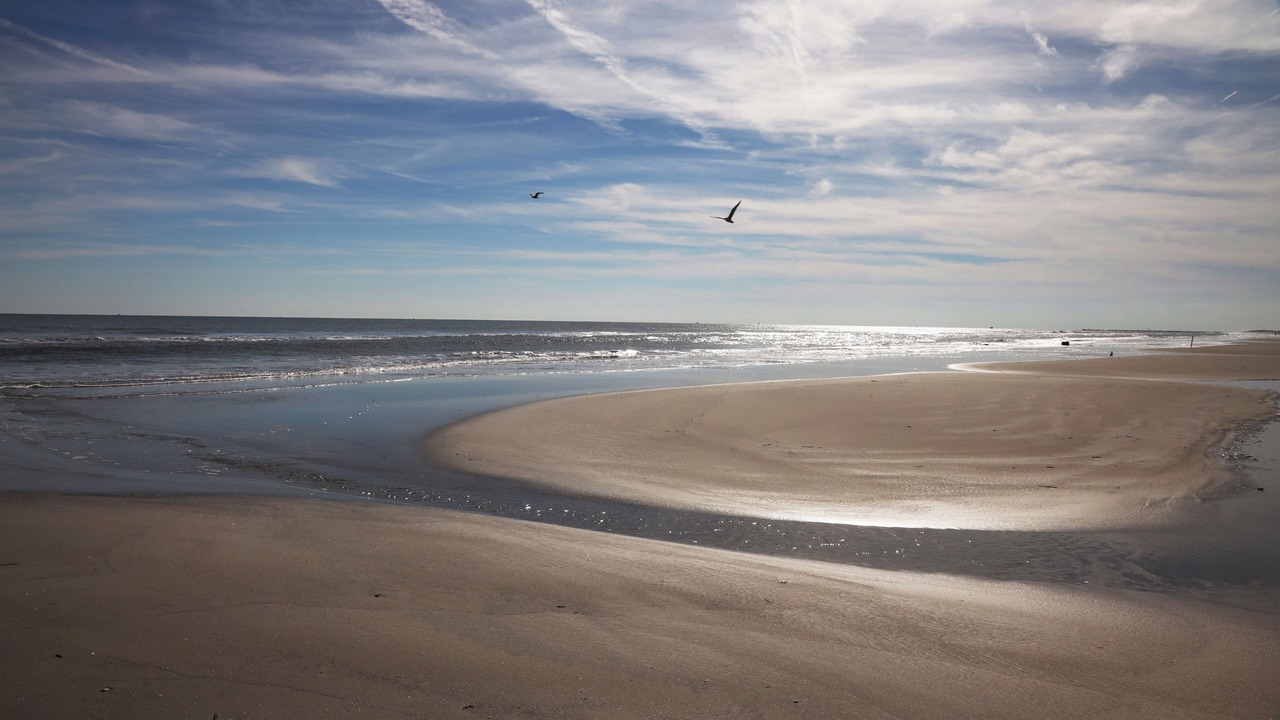 Photo of Others in Wildwood Crest