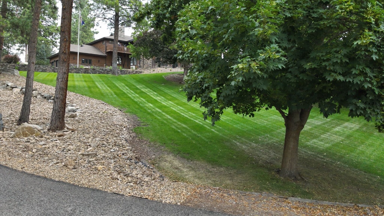 Photo of Outdoor in Kings Point