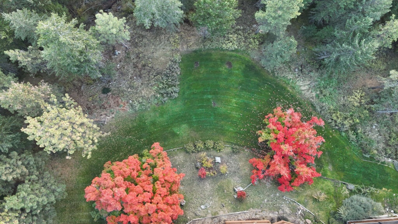 Photo of Outdoor in Kings Point