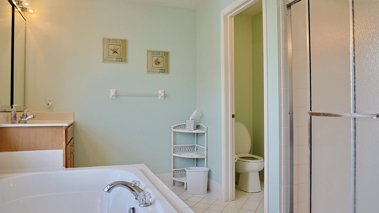 Photo of Bathroom in Bayside