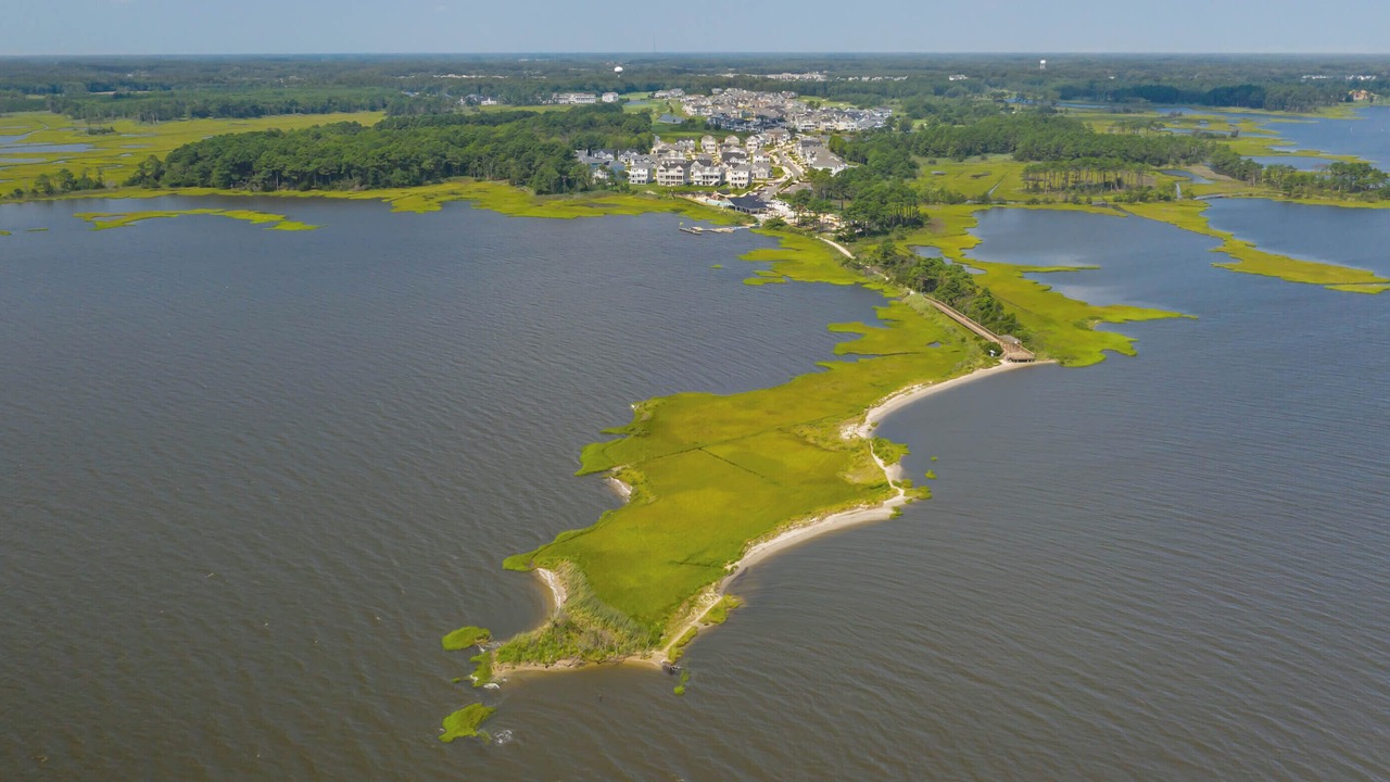 Photo of Outdoor in Bayside