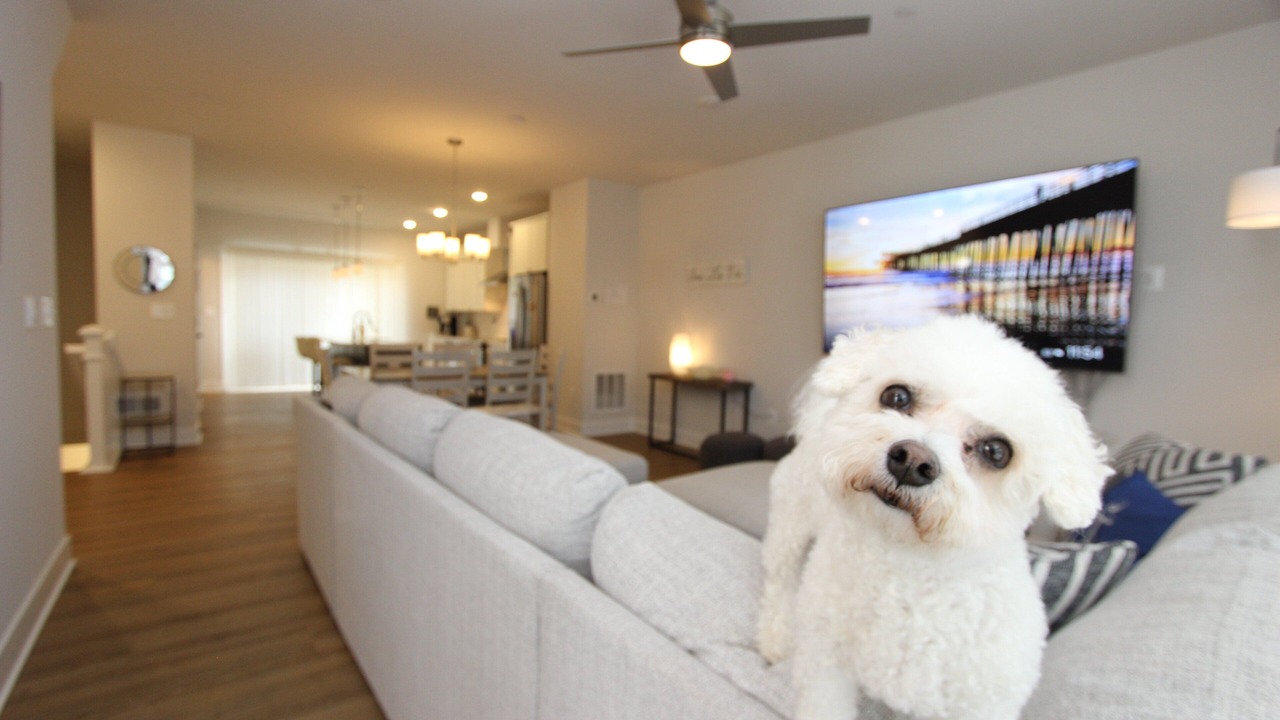 Photo of Livingroom in Parole