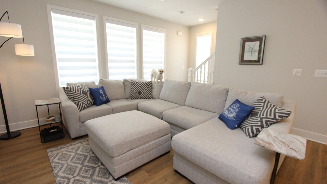 Photo of Livingroom in Parole