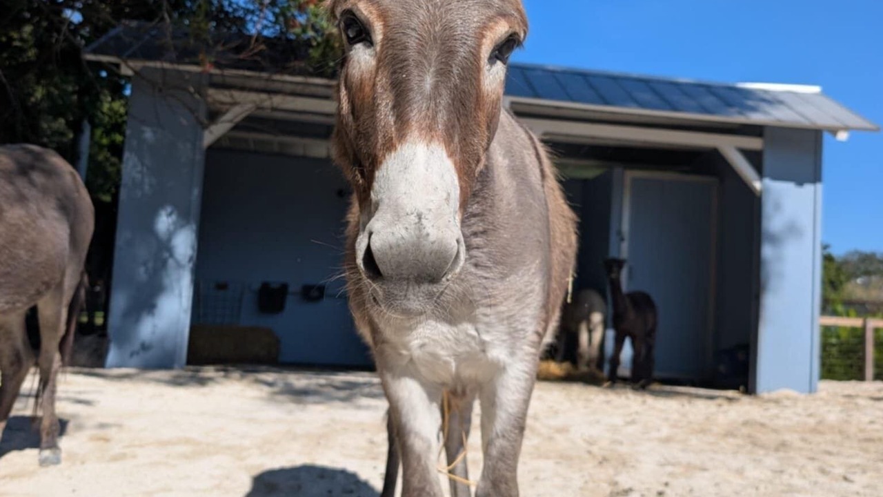 Photo of Others in Southwest Ranches