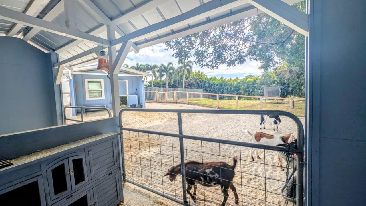 Photo of Outdoor in Southwest Ranches