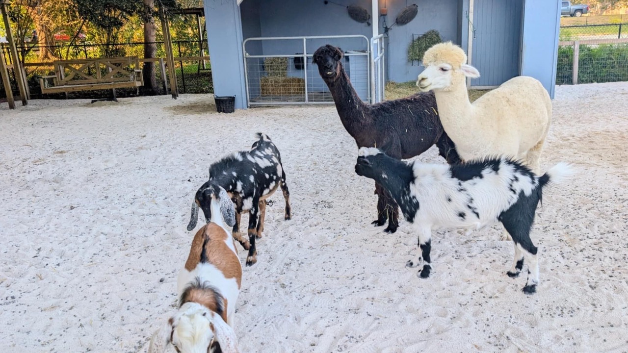 Photo of Others in Southwest Ranches