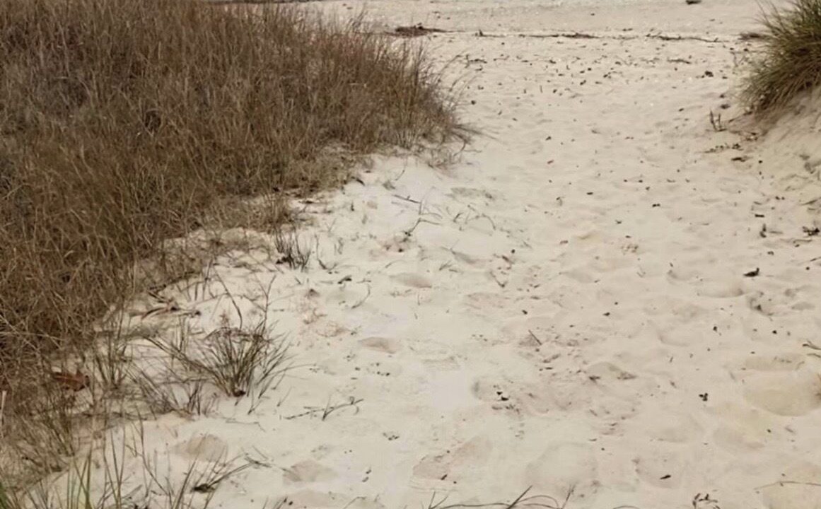 Photo of Others in Calvert Beach-Long Beach