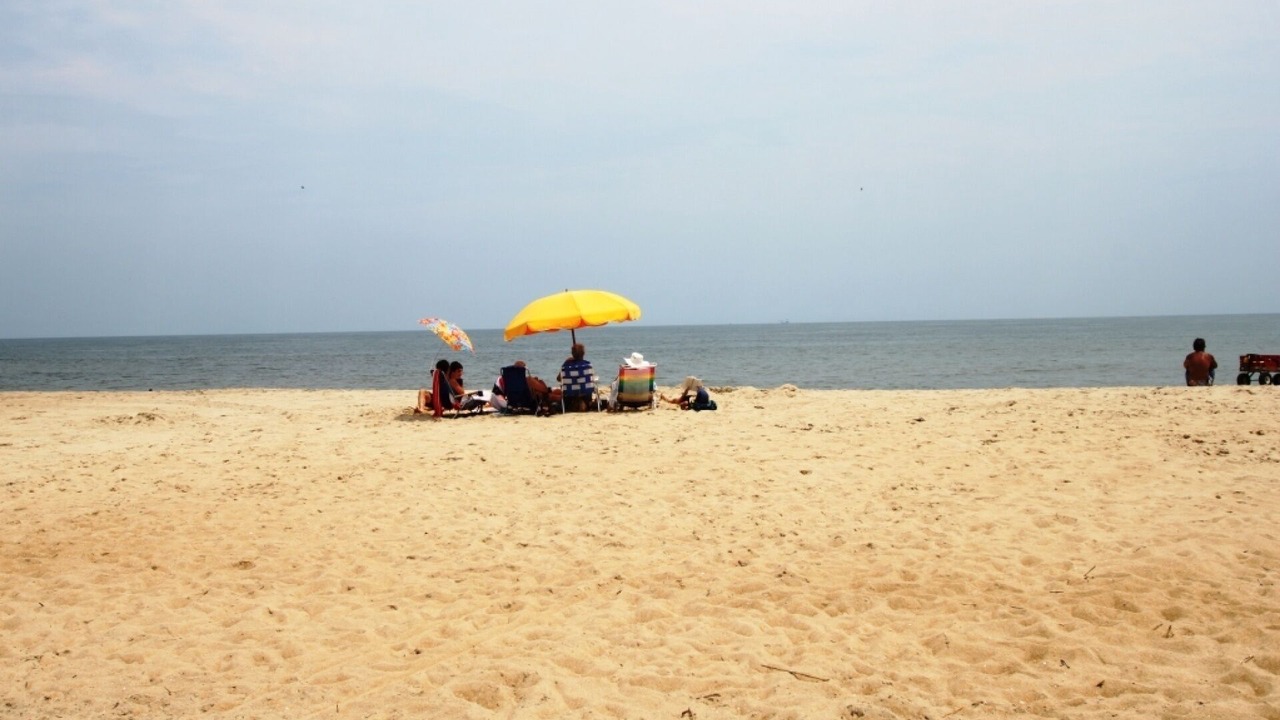 Photo of Others in Milford