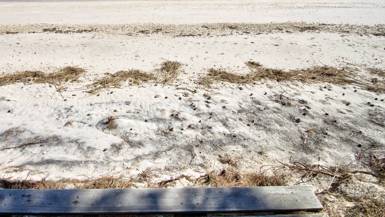 Photo of Others in Milford