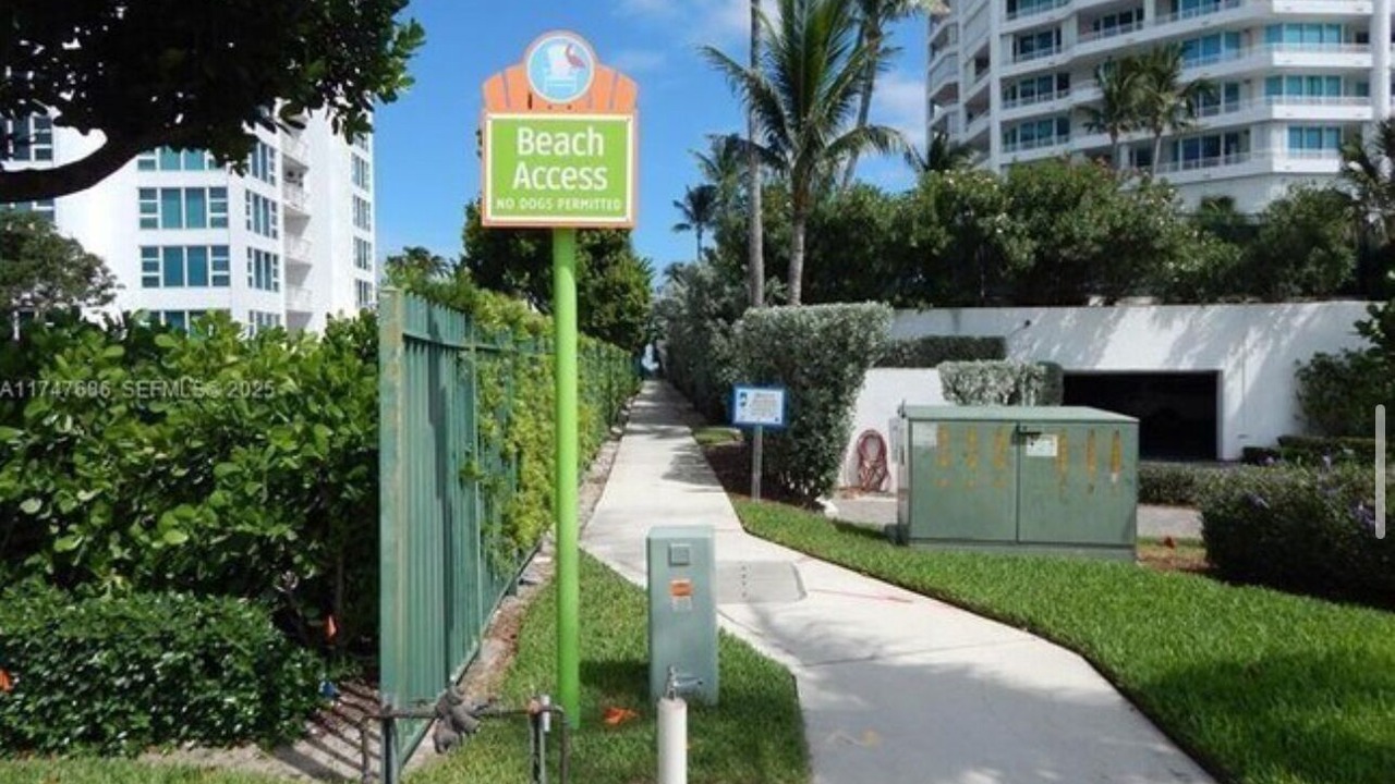 Photo of Others in Bel Air