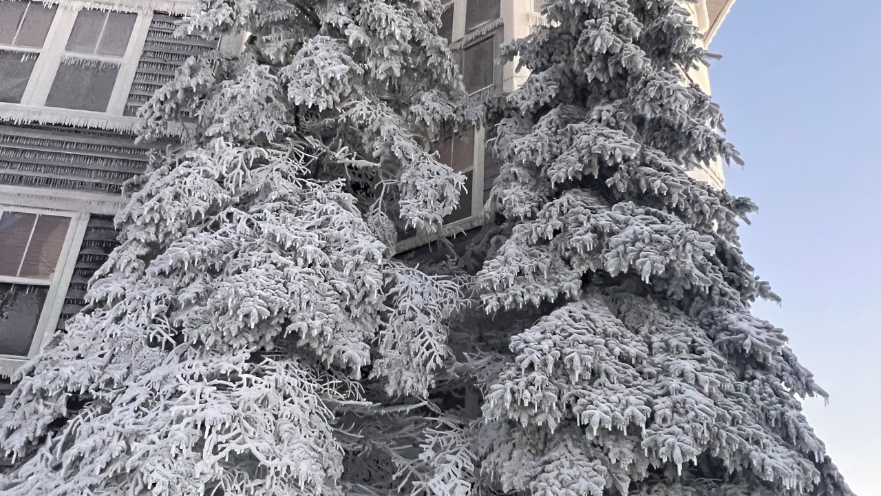 Photo of Outdoor in Edray