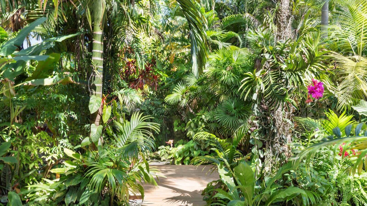 Photo of Outdoor in Biscayne Park