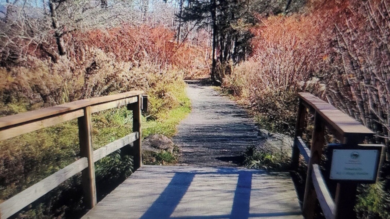 Photo of Others in Windham
