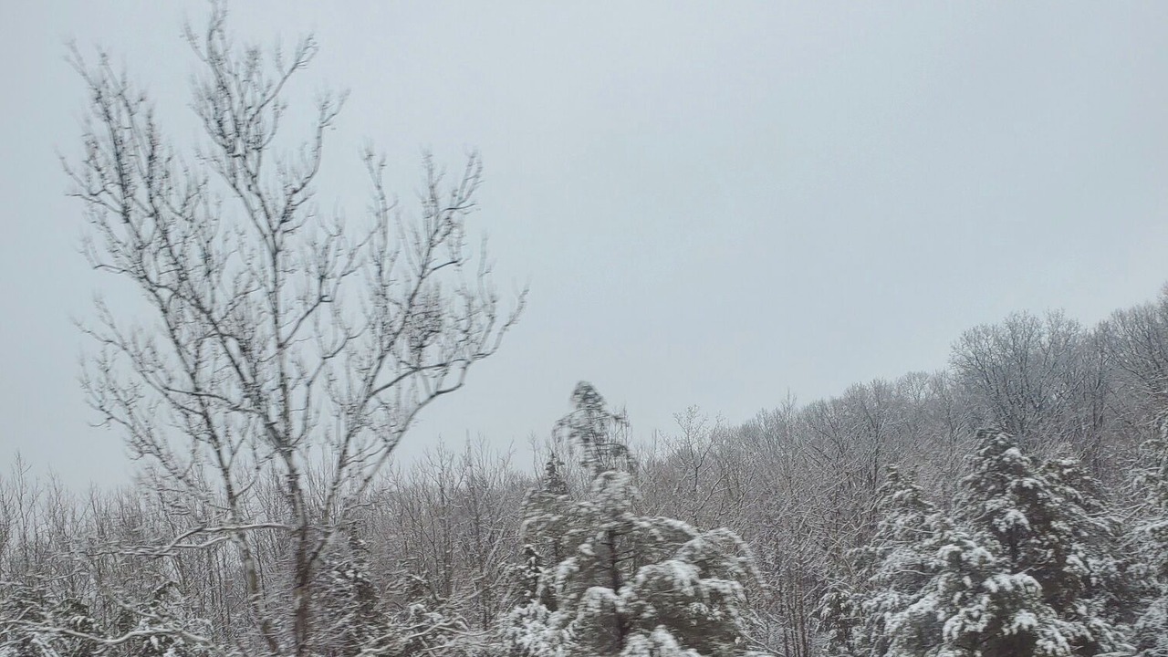 Photo of Others in Windham