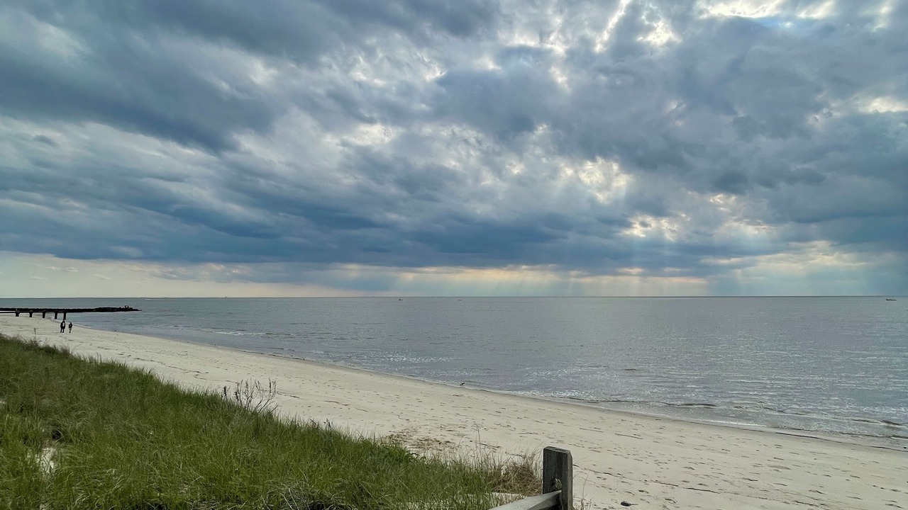 Photo of Others in North Cape May
