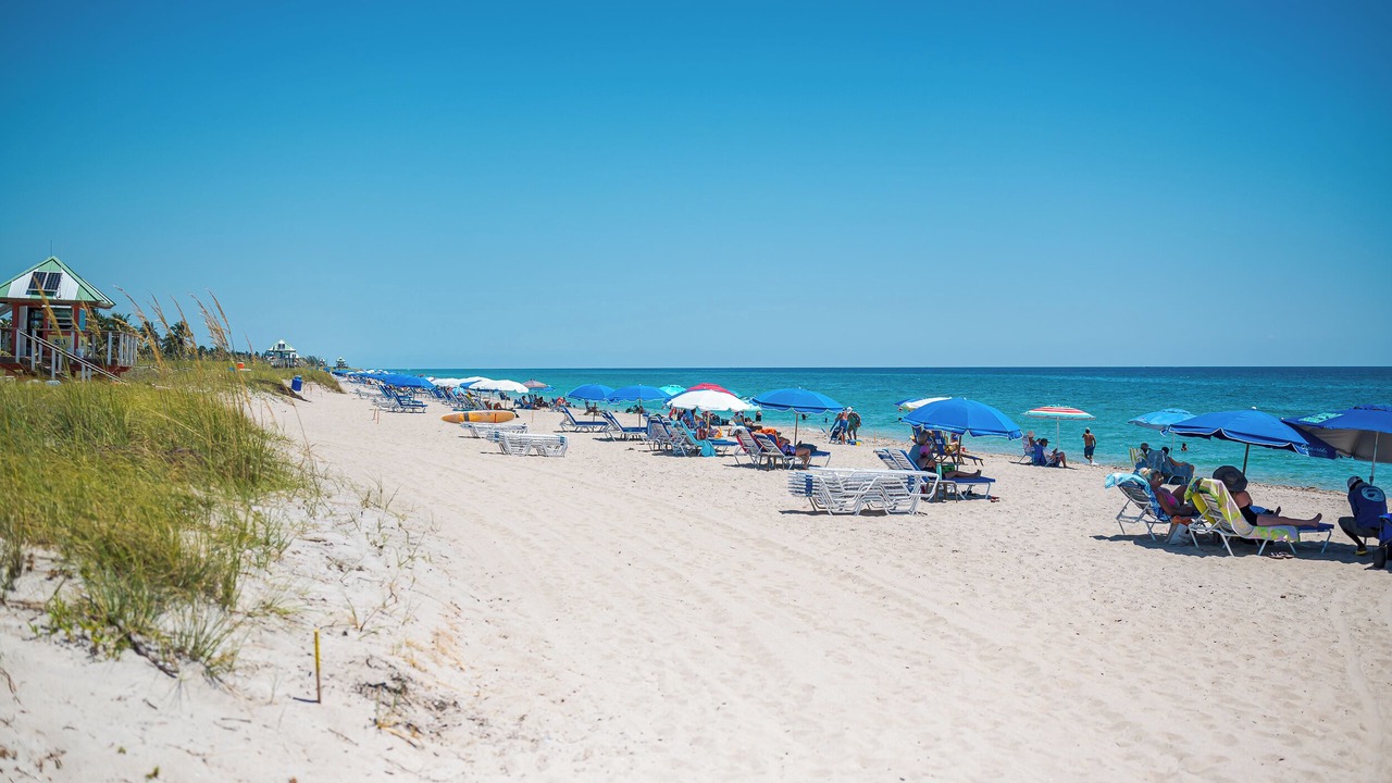 Photo of Others in Delray Beach