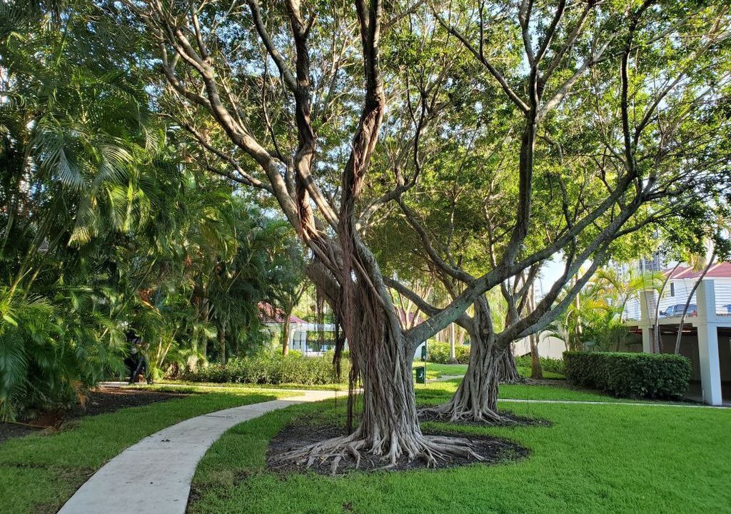 Photo of Outdoor in Aventura