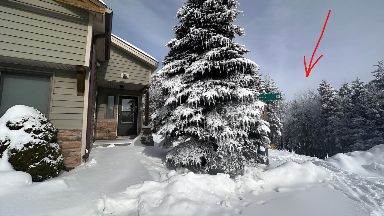Photo of Outdoor in Snowshoe