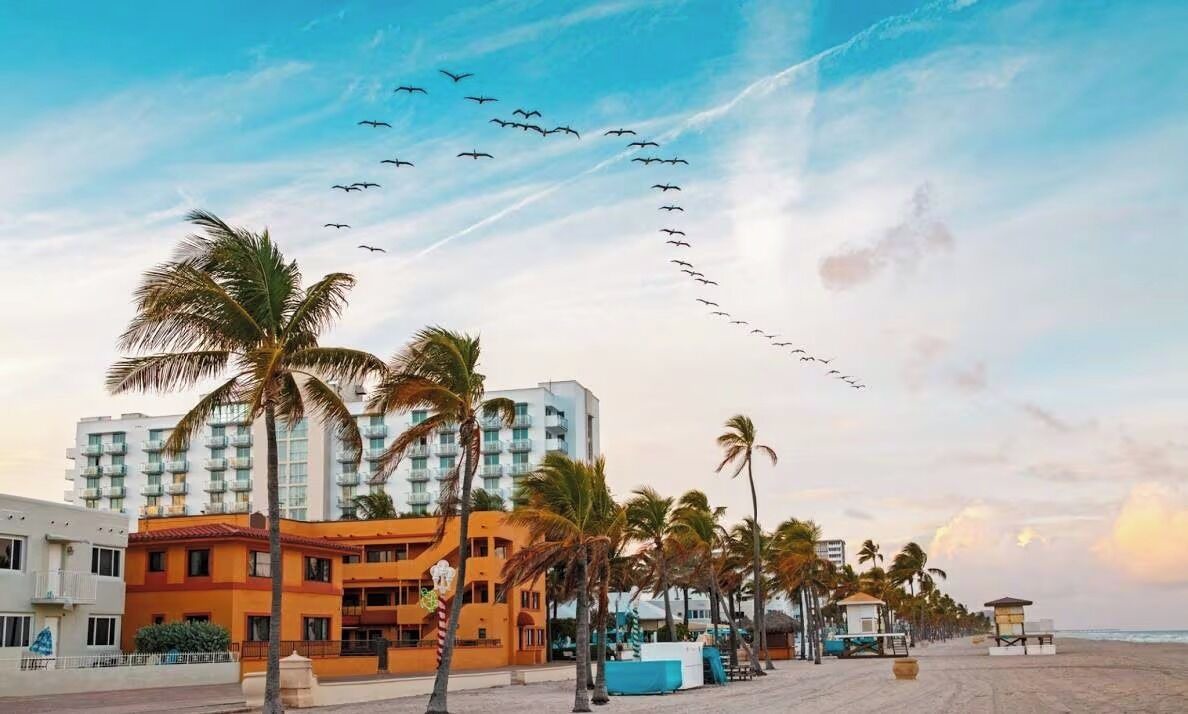 Photo of Outdoor in Dania Beach