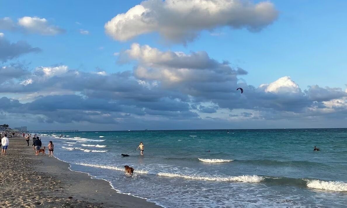 Photo of Others in Dania Beach
