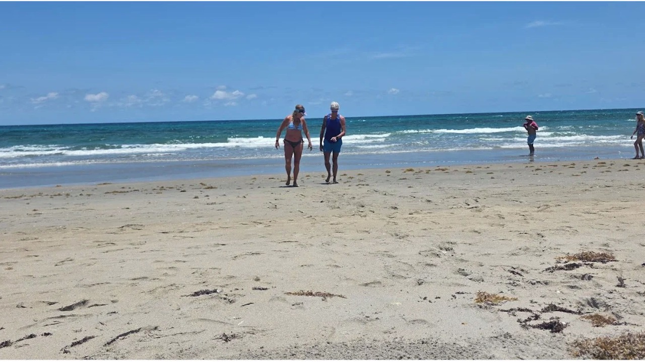 Photo of Others in Boca Raton