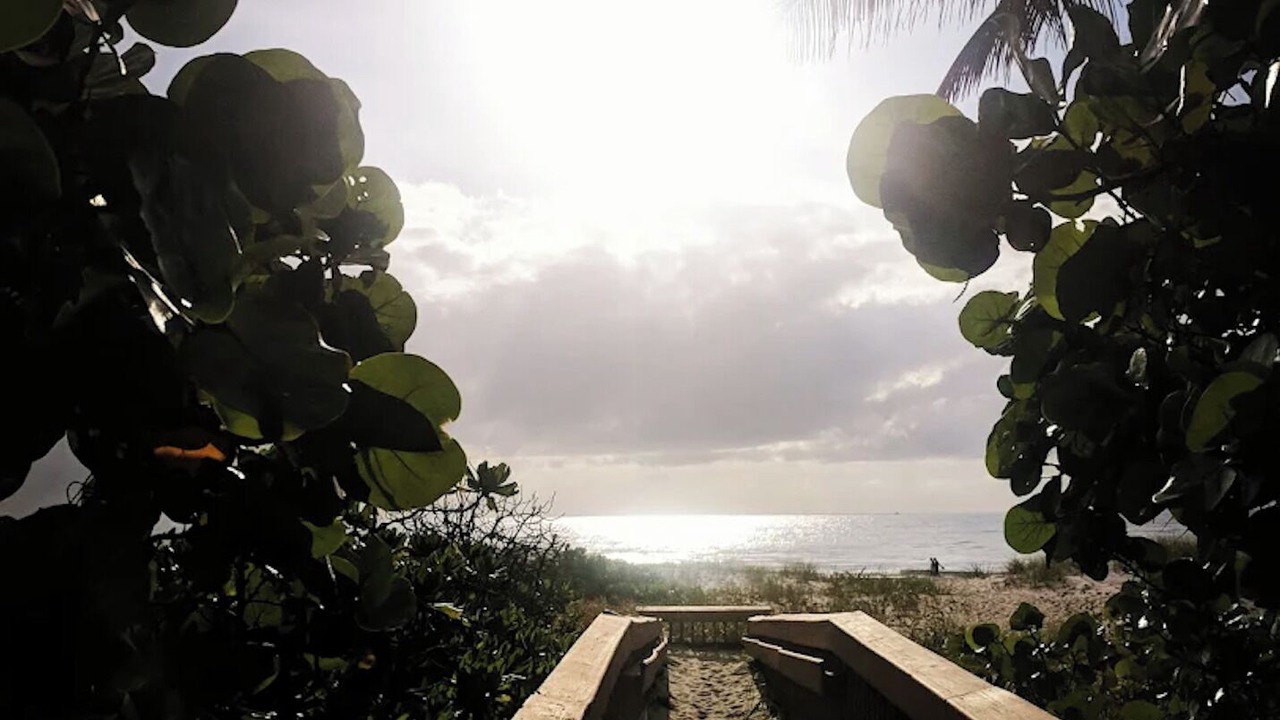 Photo of Others in Boca Raton