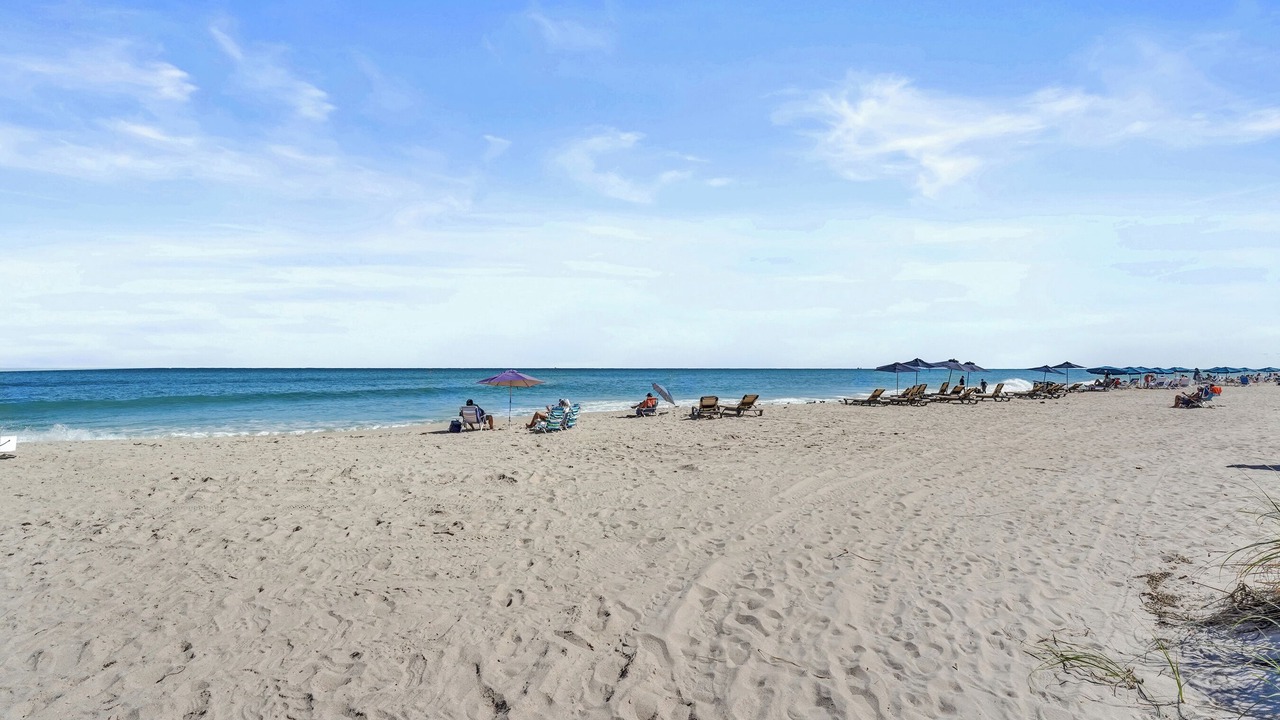 Photo of Others in Dolphin Isles