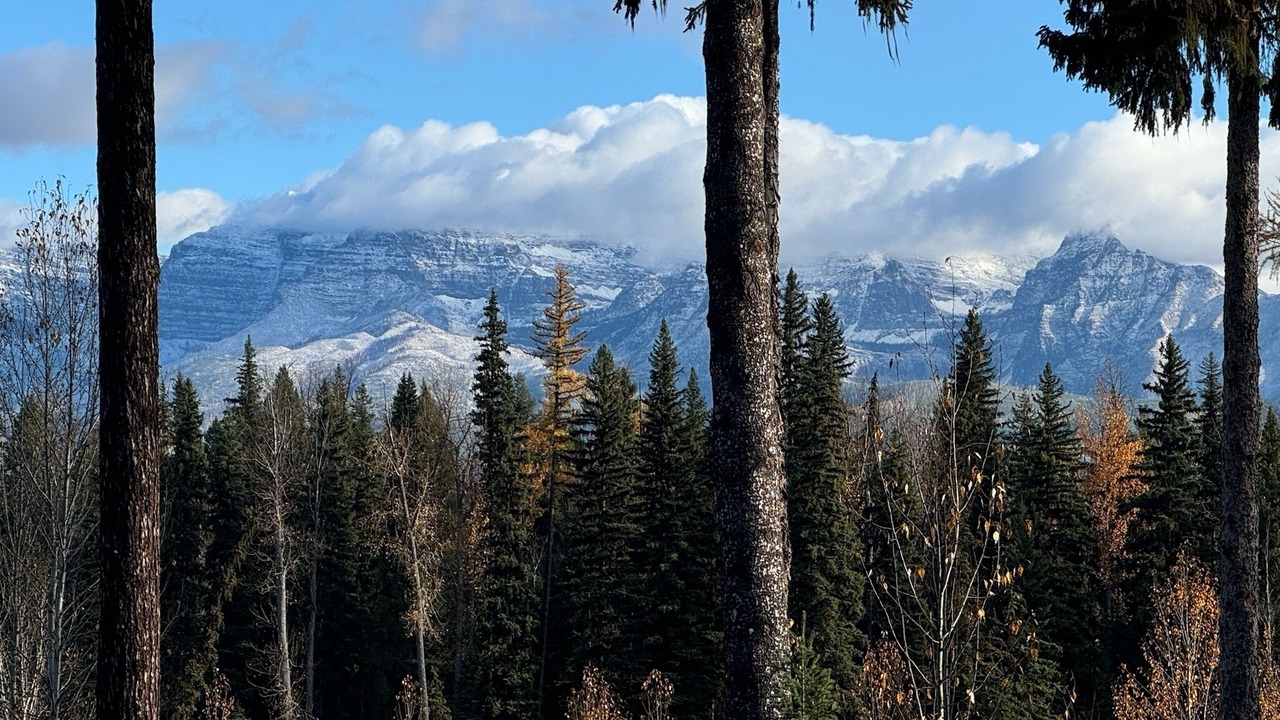 Photo of Others in Polebridge