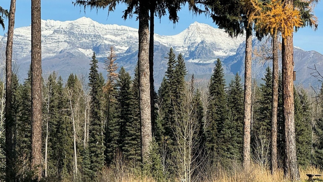 Photo of Others in Polebridge