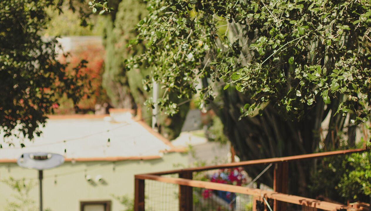 Photo of Outdoor in Eagle Rock