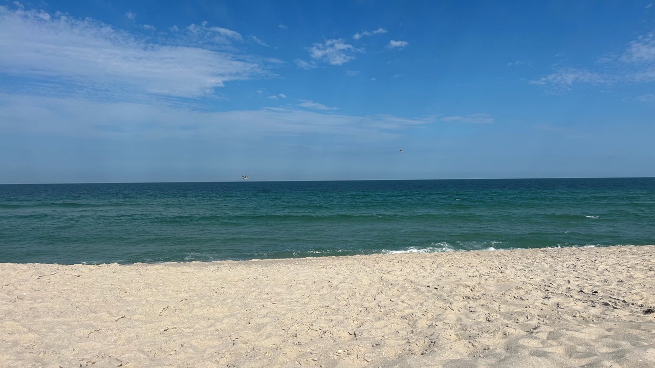 Photo of Others in Normandy Beach
