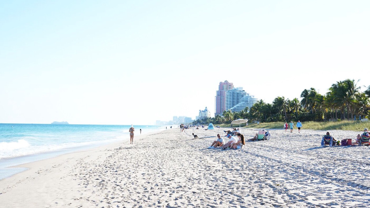 Photo of Others in Dolphin Isles
