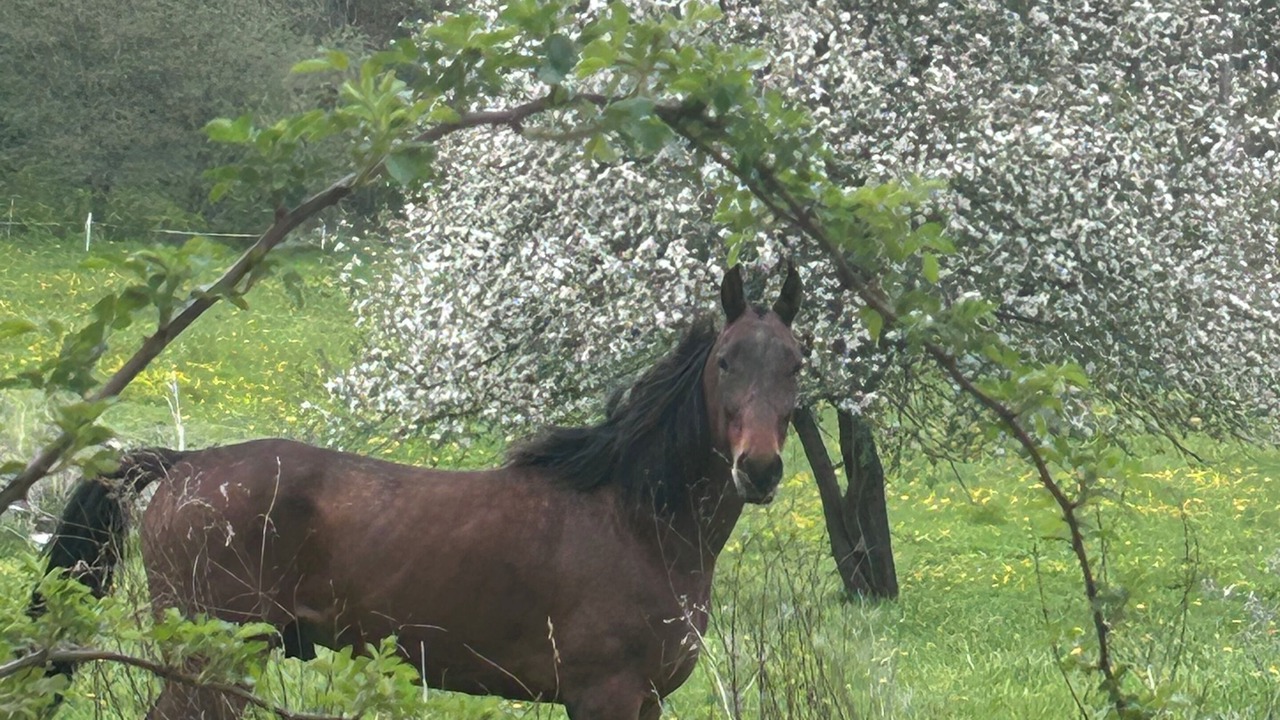 Photo of Others in Fort Plain