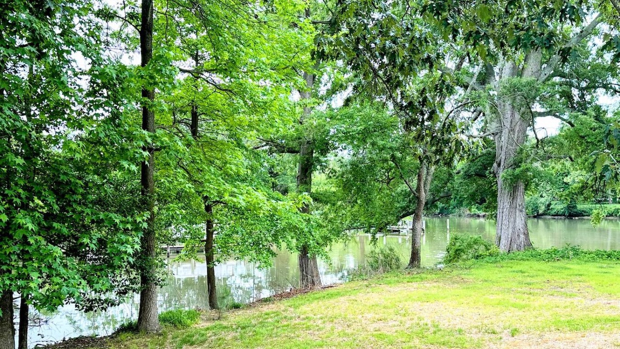 Photo of Others in Unionville