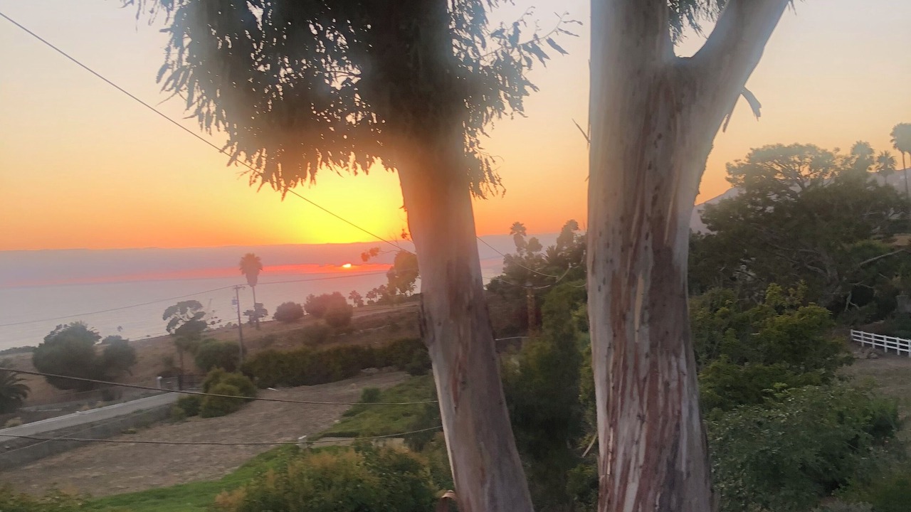 Photo of Others in Western Malibu