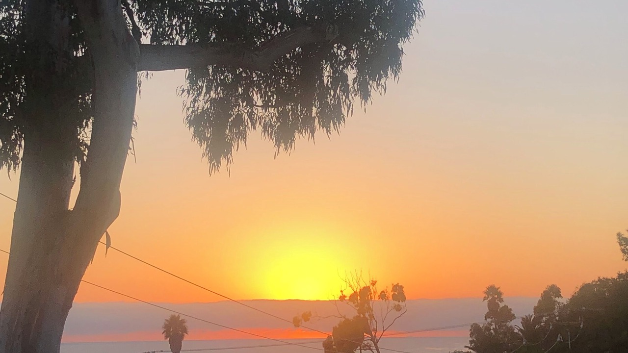 Photo of Others in Western Malibu