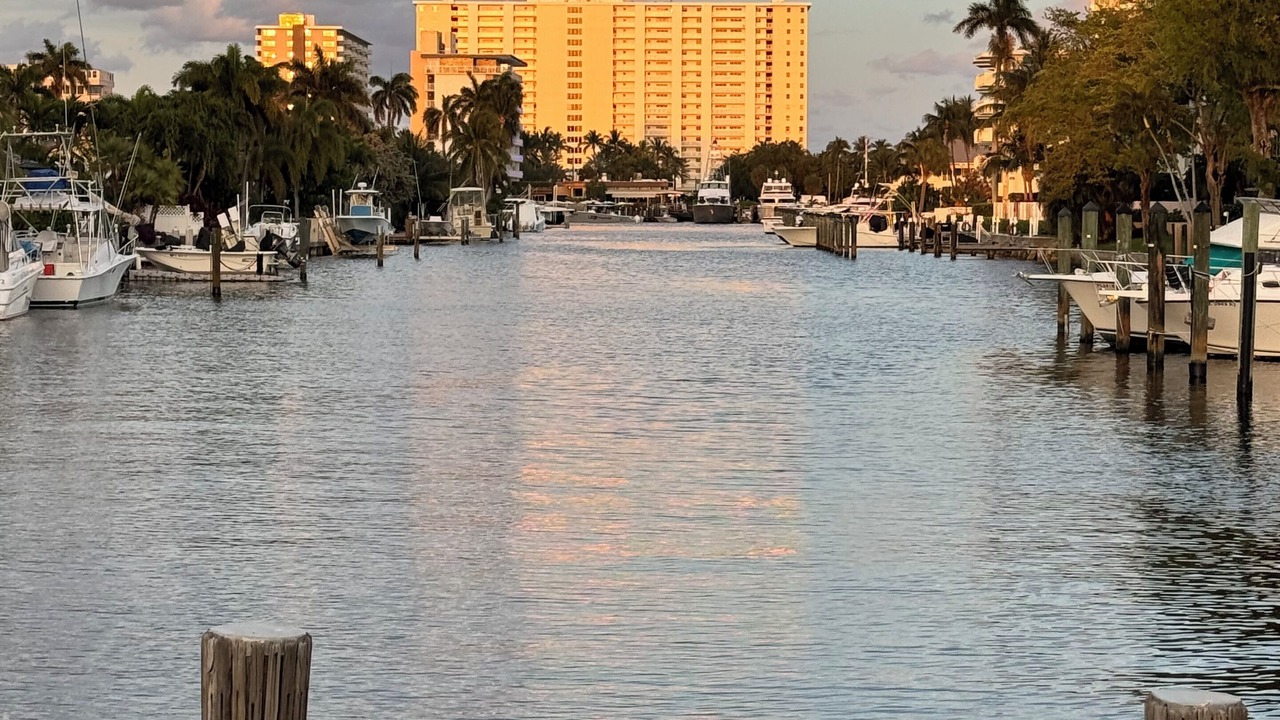 Photo of Others in Harbor Village