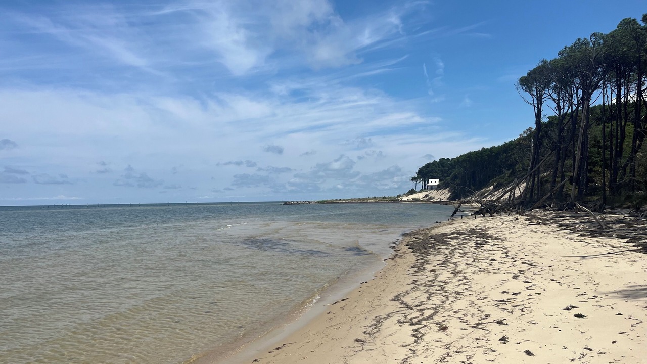 Photo of Others in Cape Charles