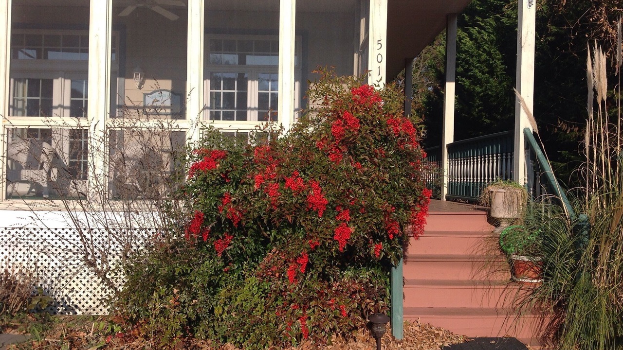 Photo of Outdoor in Cape May Point
