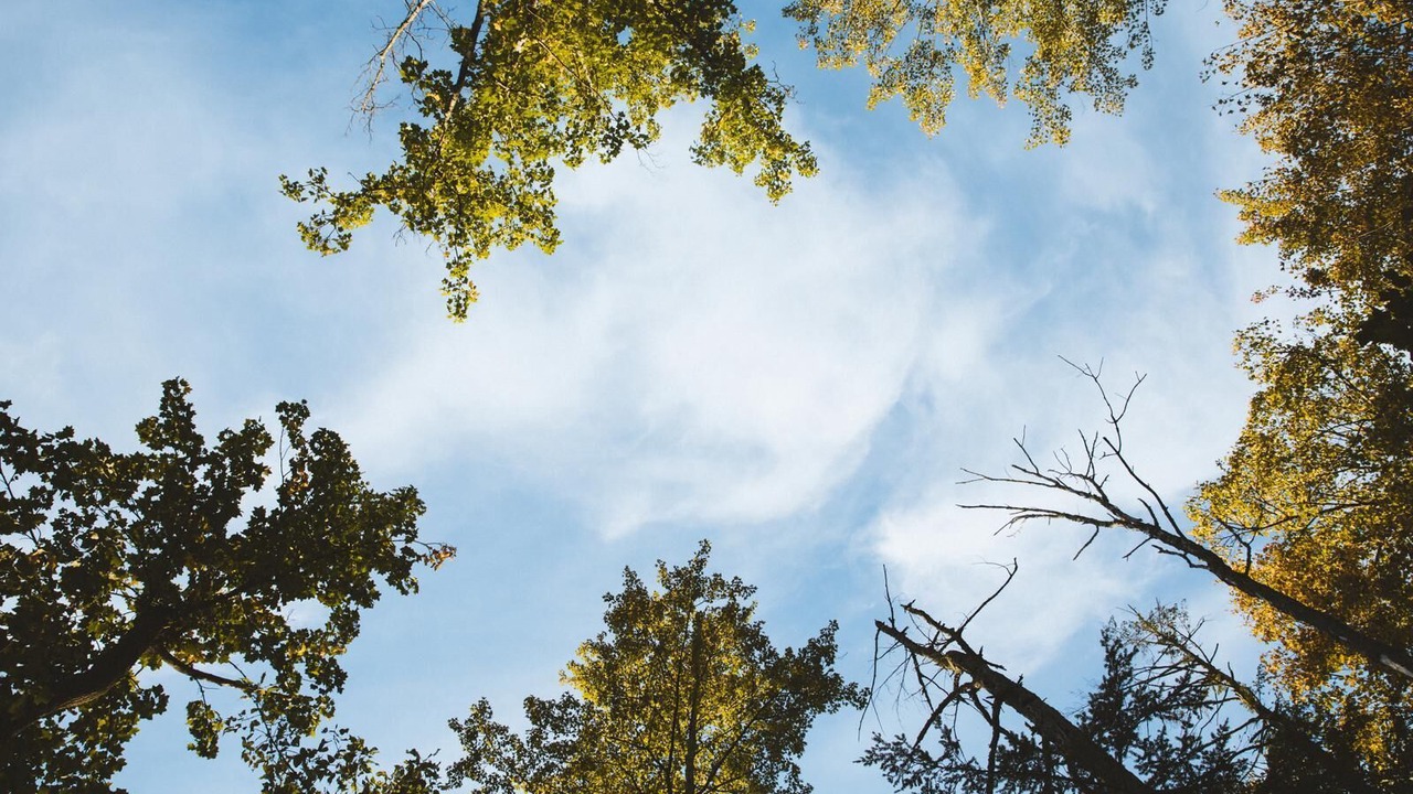 Photo of Others in Acra