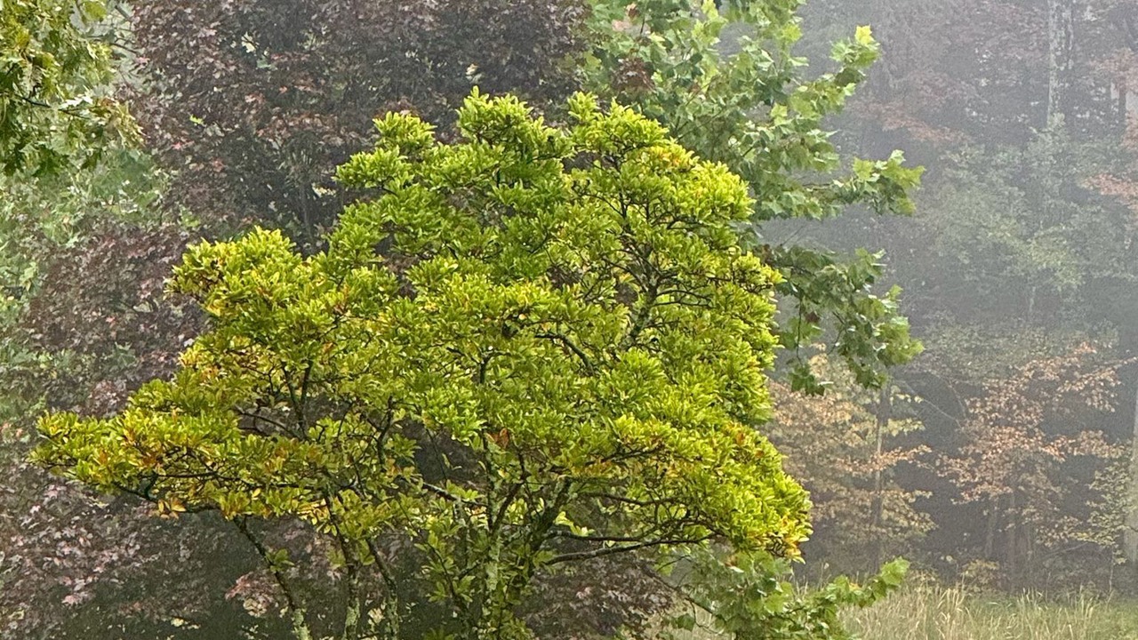 Photo of Outdoor in Acra