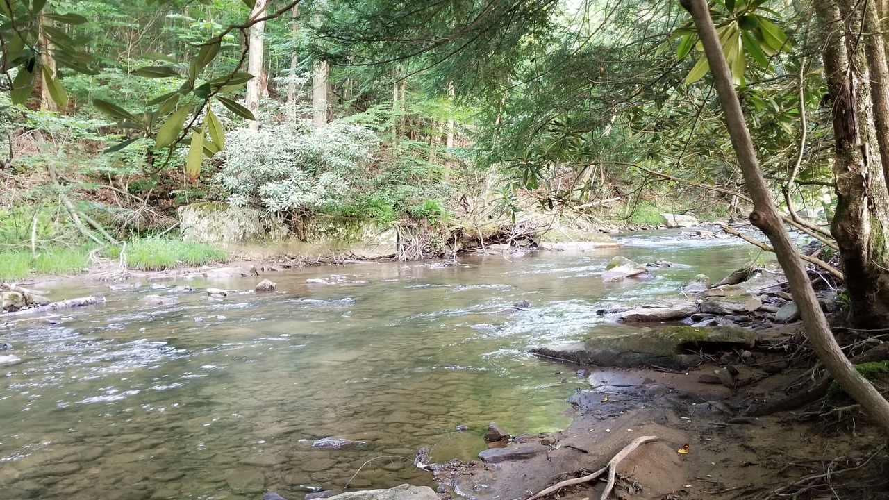 Photo of Others in Helvetia