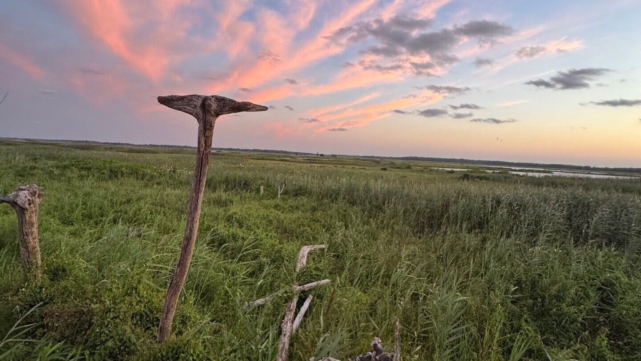 Photo of Others in Prime Hook Beach