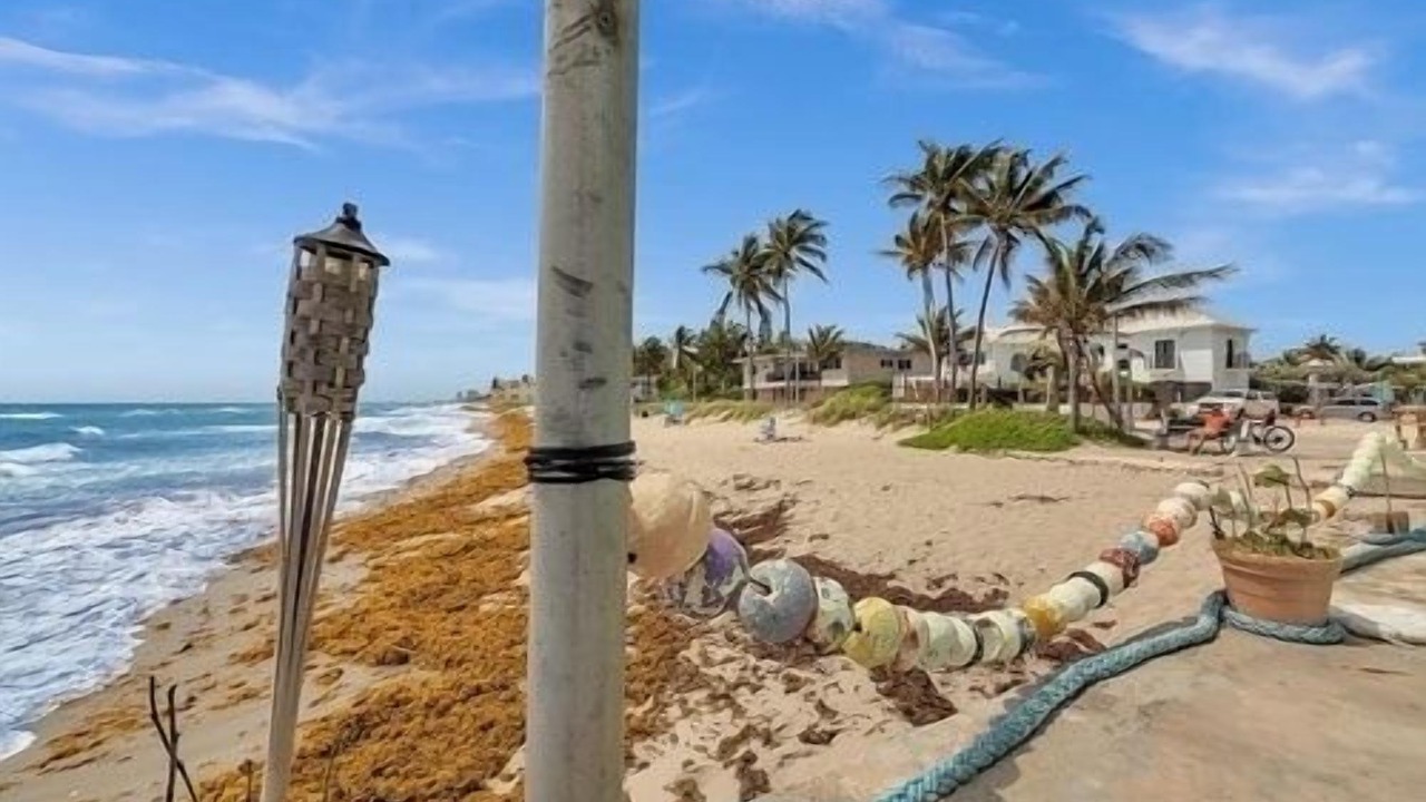 Photo of Others in North Beach