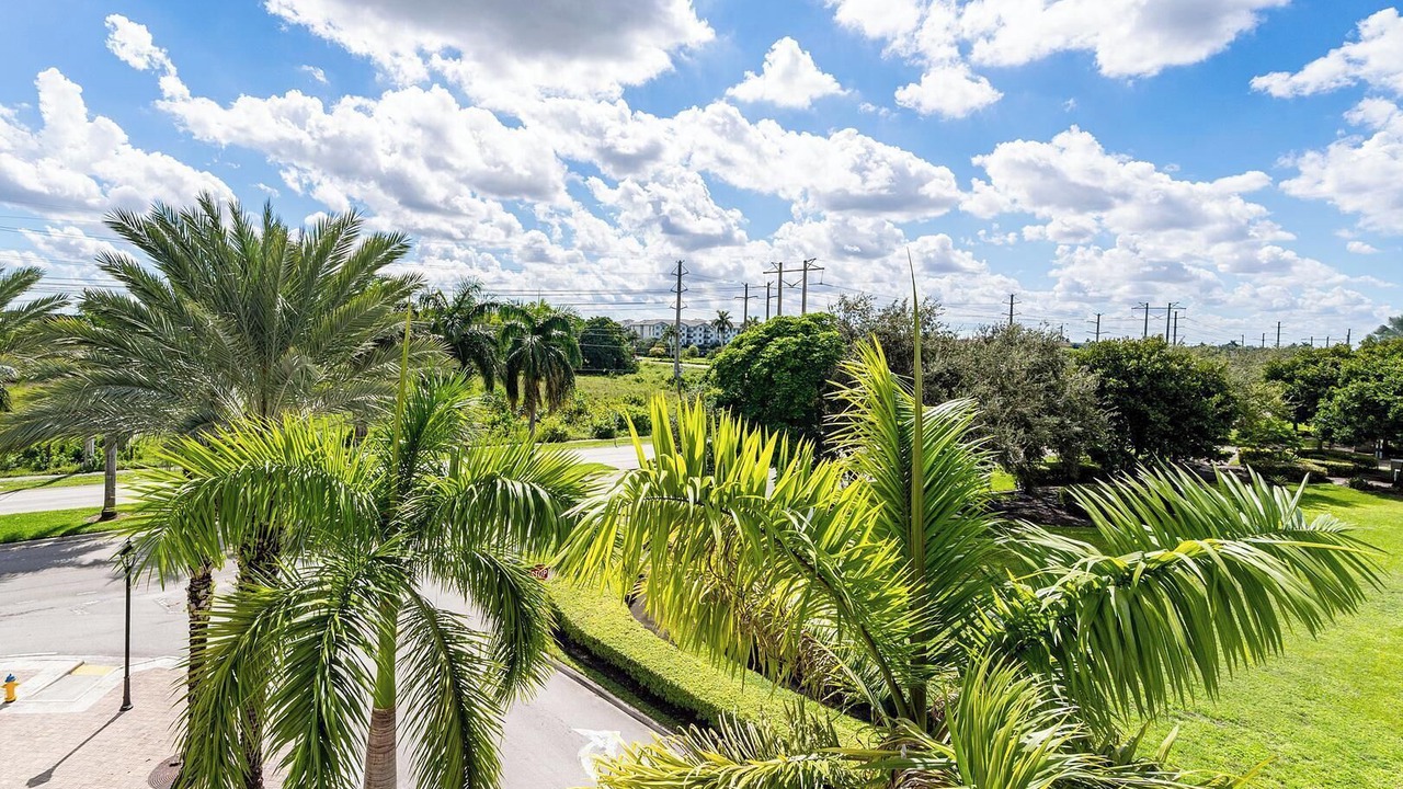 Photo of Outdoor in Miramar