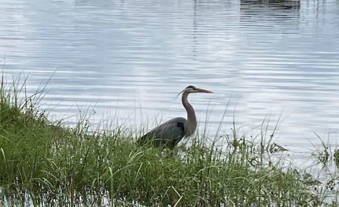 Photo of Others in Piney Point