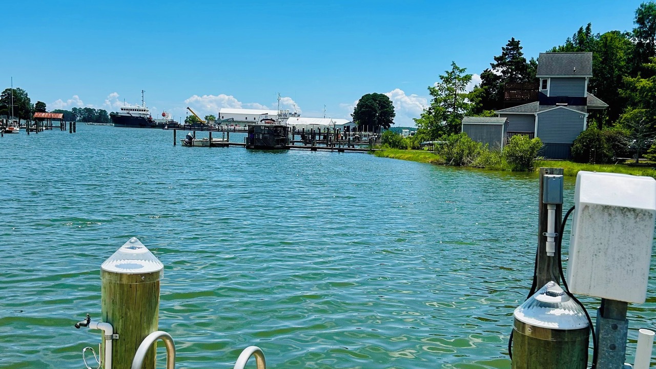 Photo of Others in Piney Point
