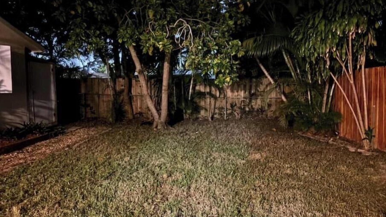 Photo of Outdoor in Poinsettia Heights