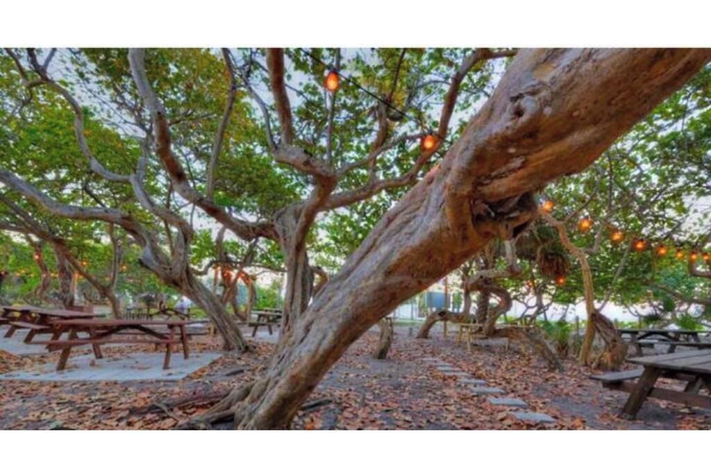 Photo of Outdoor in Poinsettia Heights