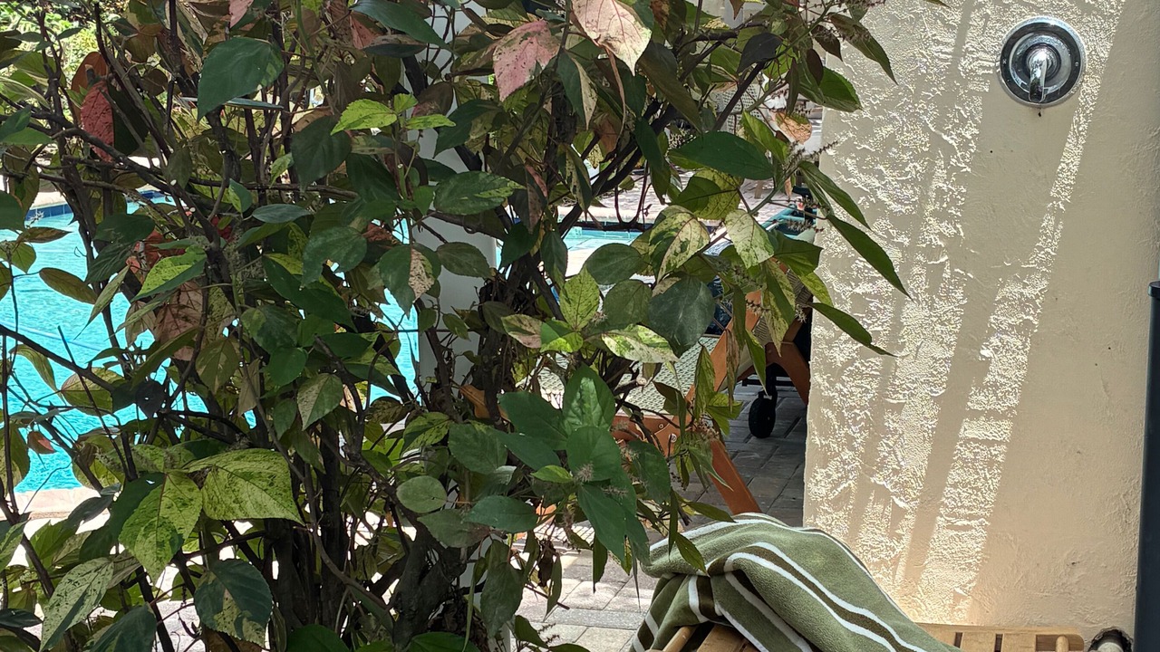 Photo of Outdoor in Delray Beach